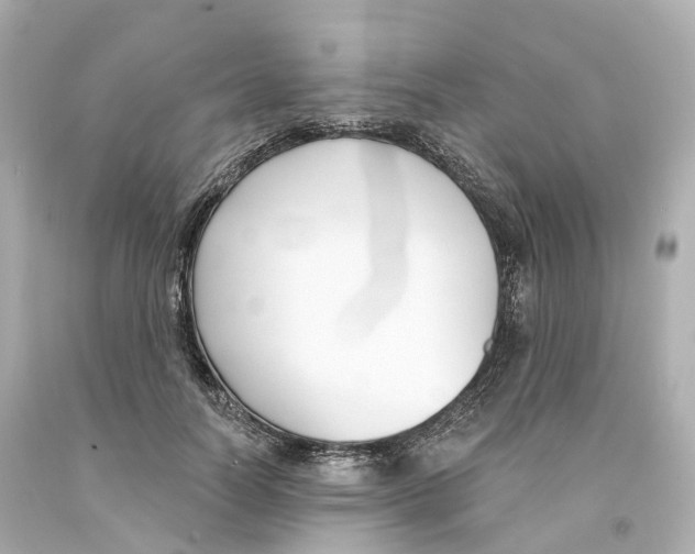 X0000093090746200710241200