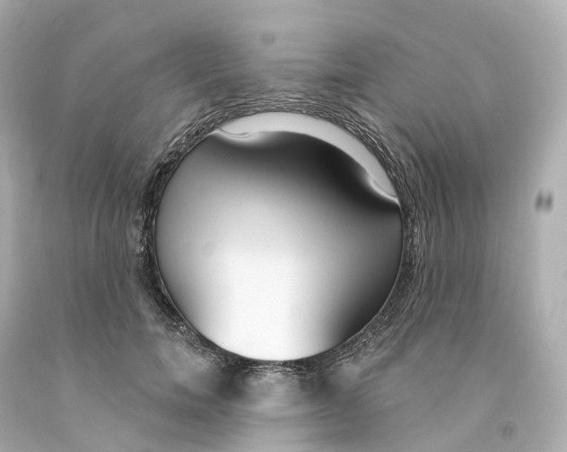 X0000093090750200710241200