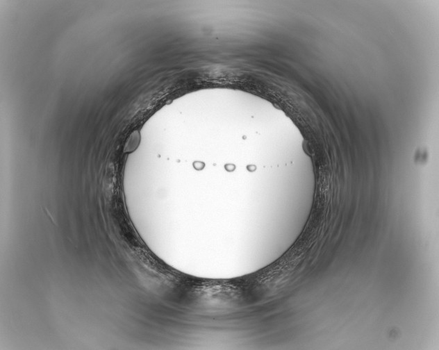 X0000093090752200710241200