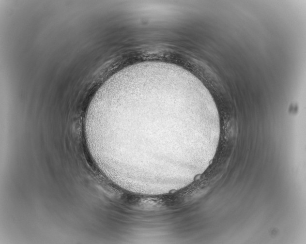 X0000093090753200710241200