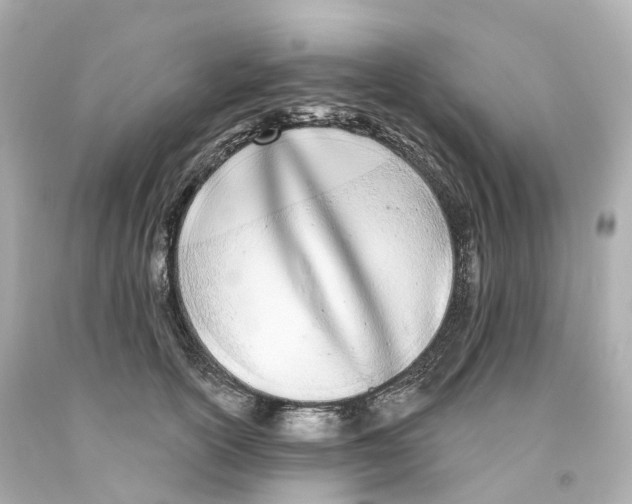 X0000093090754200710241200