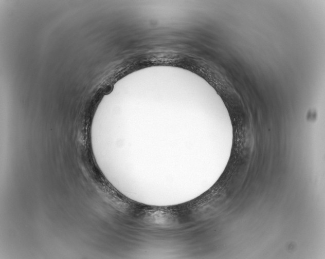 X0000093090755200710241200