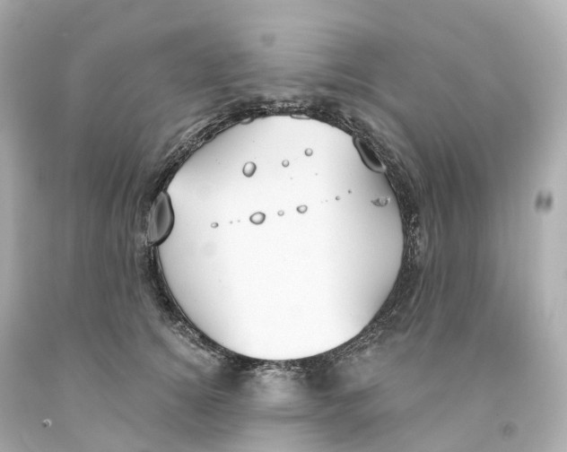 X0000093090756200710241200