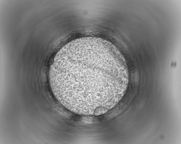 X0000093090757200710241200