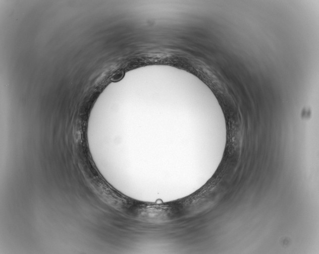 X0000093090758200710241200
