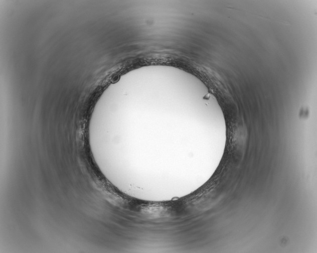 X0000093090759200710241200