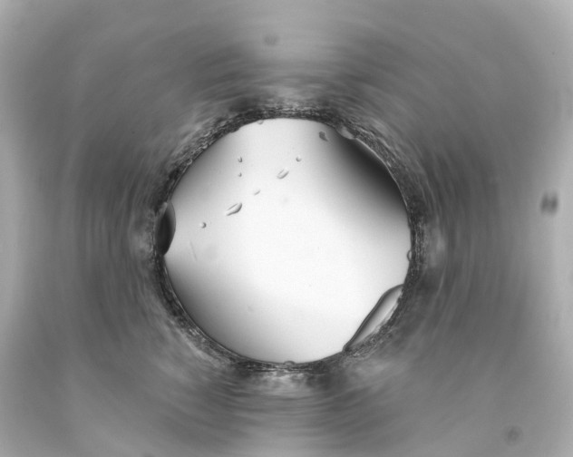 X0000093090760200710241200