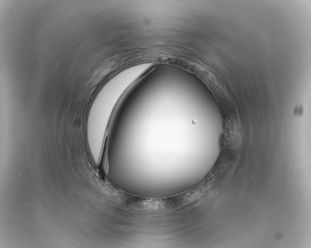X0000093090762200710241200