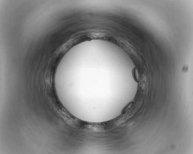 X0000093090763200710241200