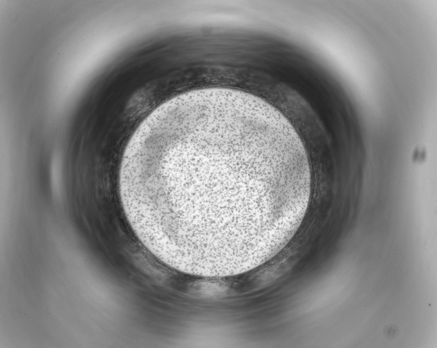 X0000093090765200710241200