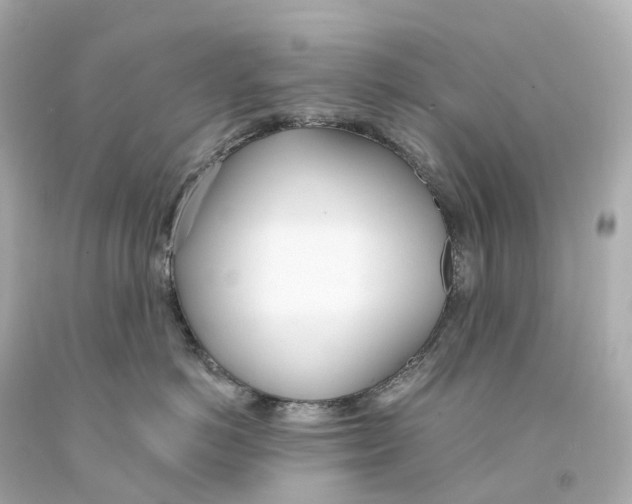 X0000093090766200710241200
