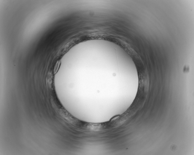 X0000093090767200710241200