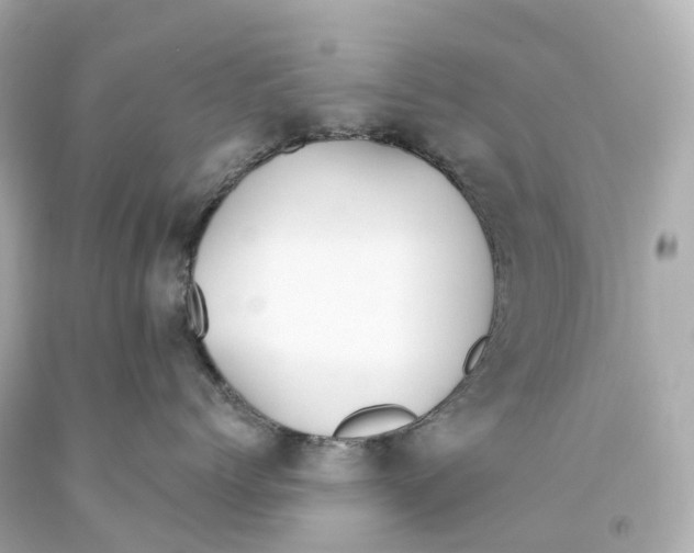 X0000093090768200710241200