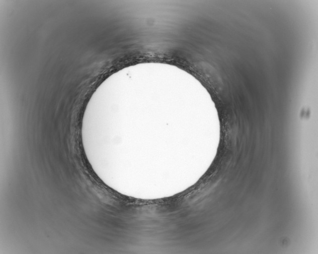 X0000093090769200710241200
