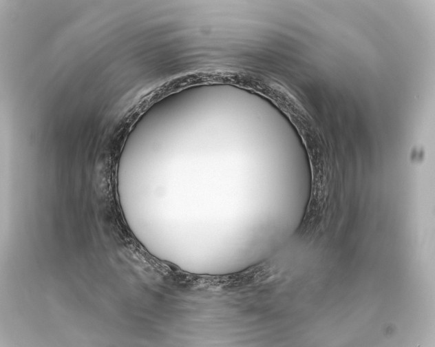 X0000093090773200710241200