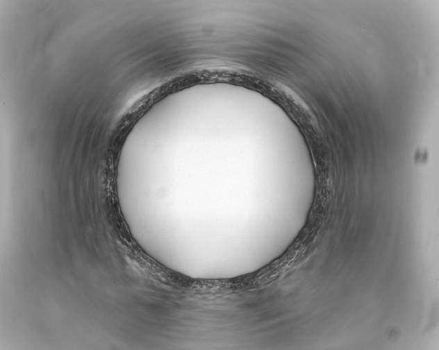 X0000093090775200710241200