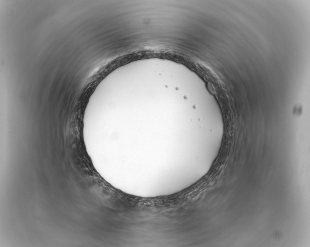 X0000093090776200710241200