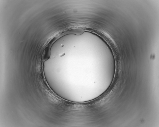 X0000093090777200710241200