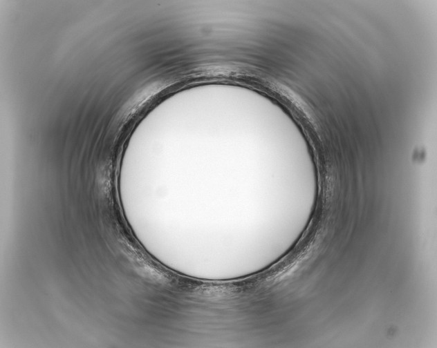X0000093090778200710241200
