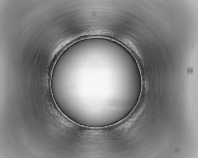 X0000093090781200710241200