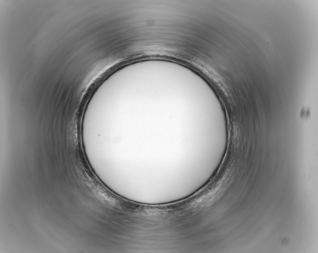 X0000093090782200710241200