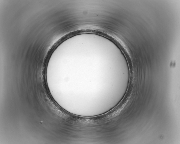 X0000093090783200710241200
