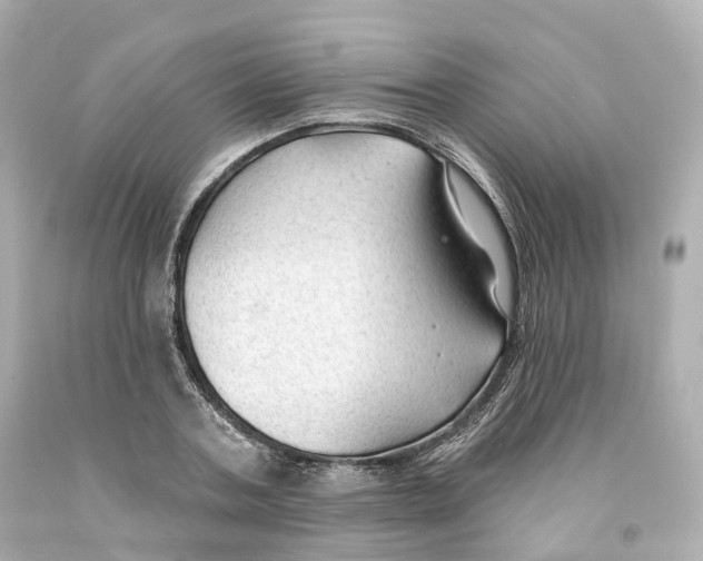 X0000093090787200710241200