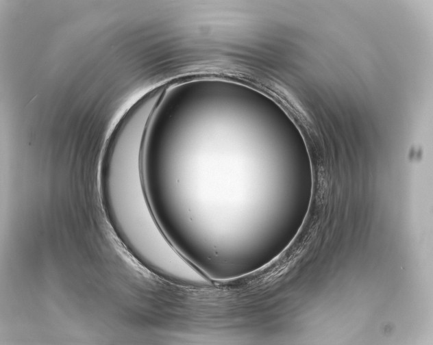 X0000093090788200710241200