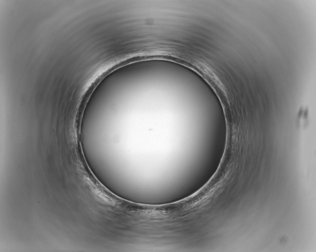 X0000093090789200710241200