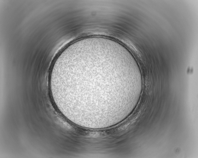 X0000093090790200710241200
