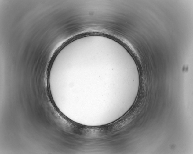 X0000093090791200710241200