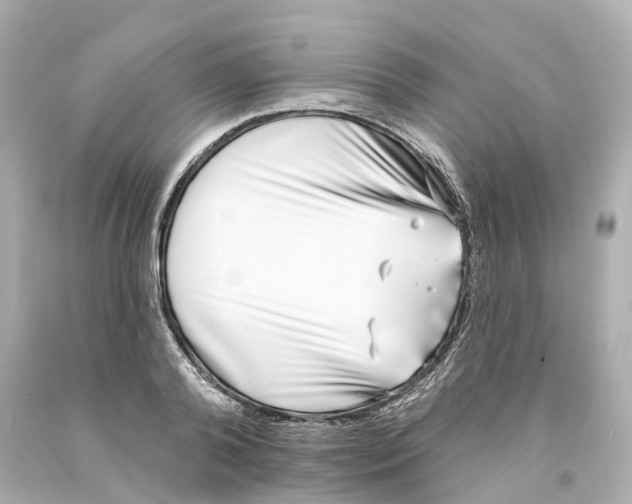 X0000093090792200710241200