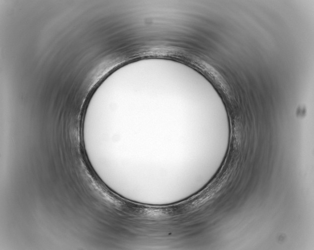 X0000093090794200710241200