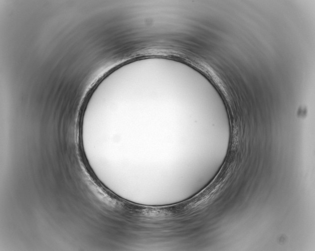 X0000093090795200710241200