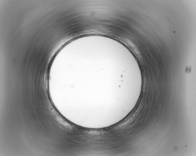 X0000093090796200710241159