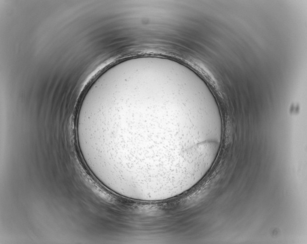 X0000093090798200710241159