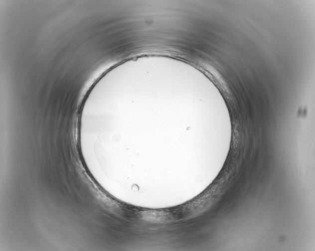 X0000093090804200710241159