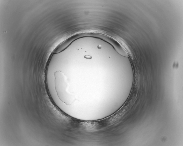 X0000093090805200710241159
