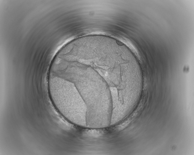 X0000093090806200710241159