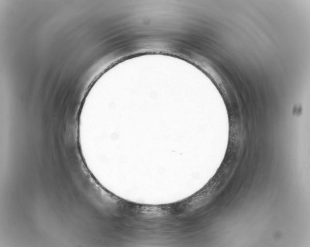 X0000093090807200710241159