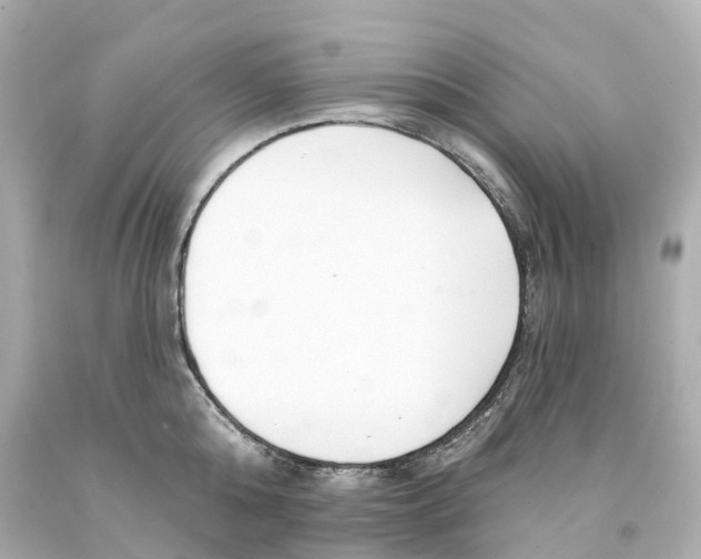 X0000093090808200710241159