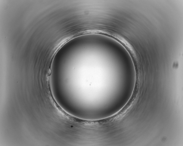 X0000093090809200710241159