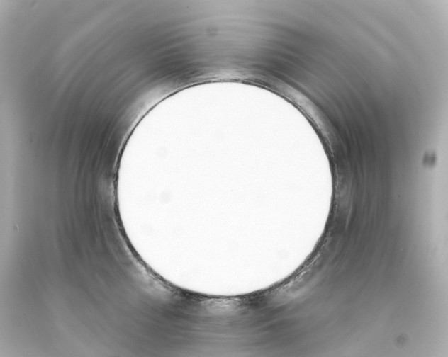 X0000093090810200710241159