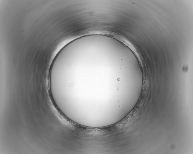 X0000093090811200710241159