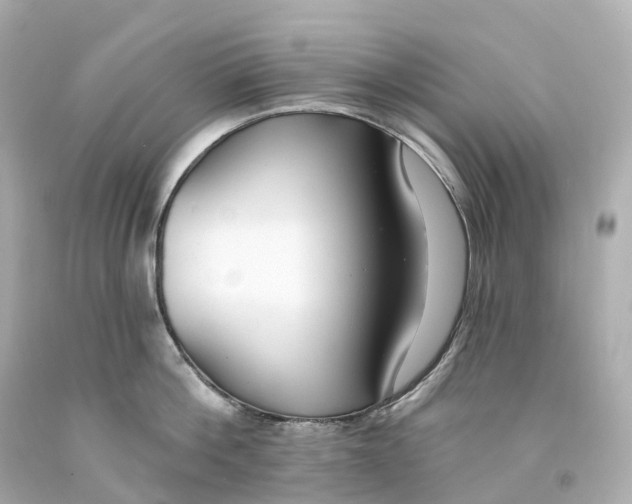 X0000093090812200710241159