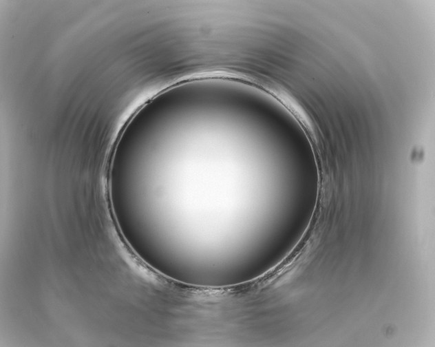 X0000093090813200710241159