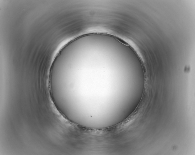 X0000093090815200710241159
