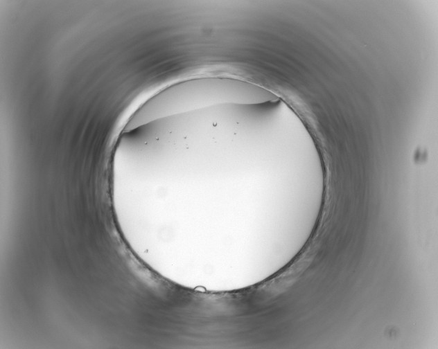 X0000093090816200710241159