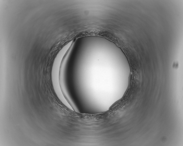 X0000093090818200710241159