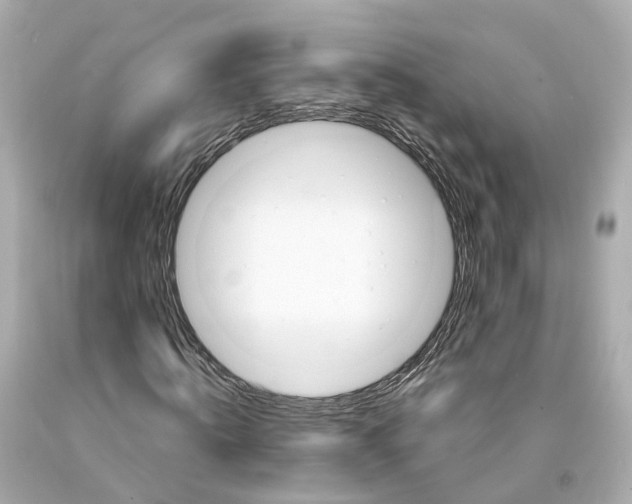 X0000093090820200710241159